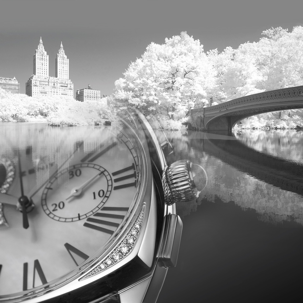 zenith campaign mix watch and landscape